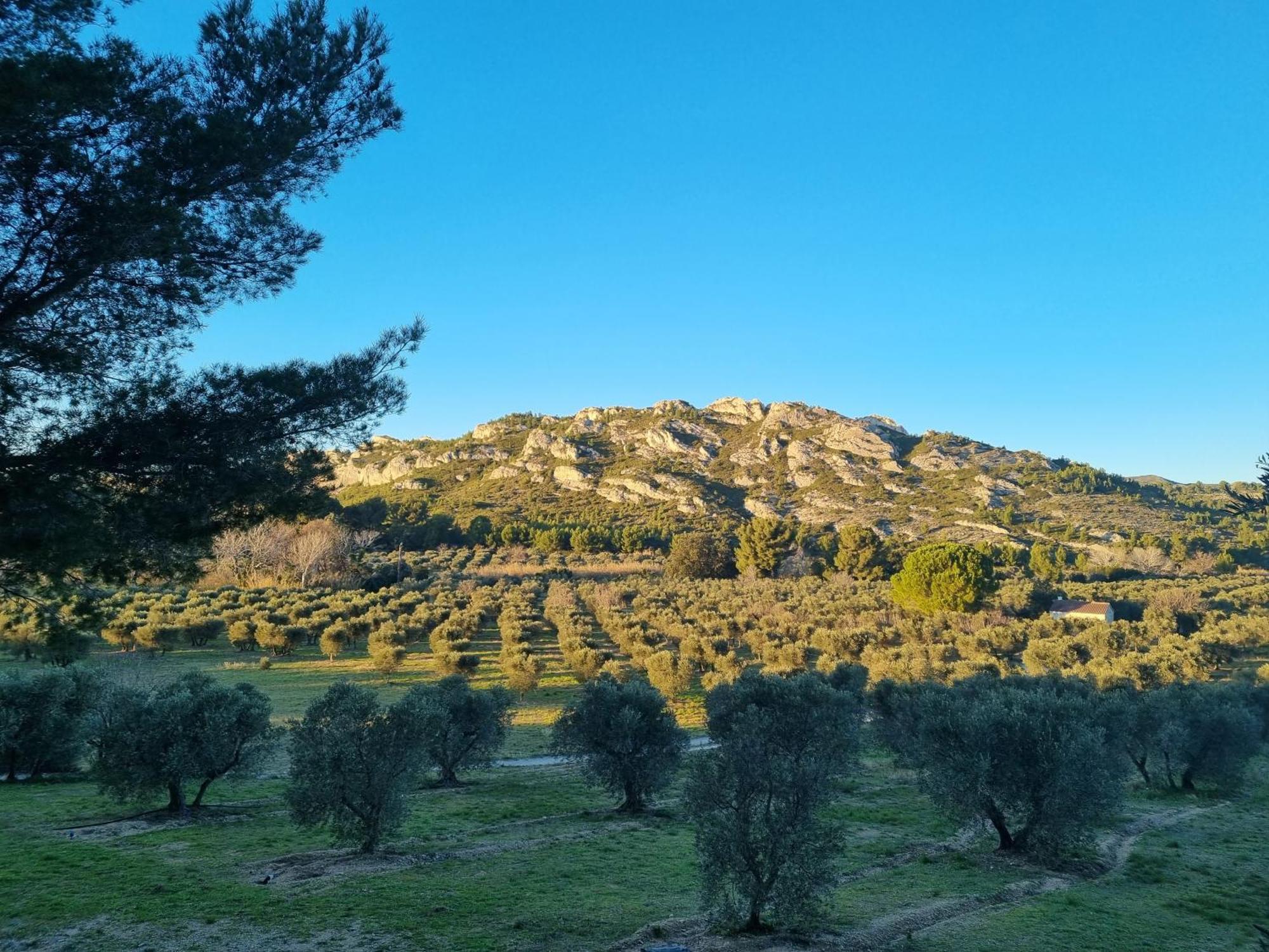 פרדו Les Garrigues De La Vallee Des Baux מראה חיצוני תמונה