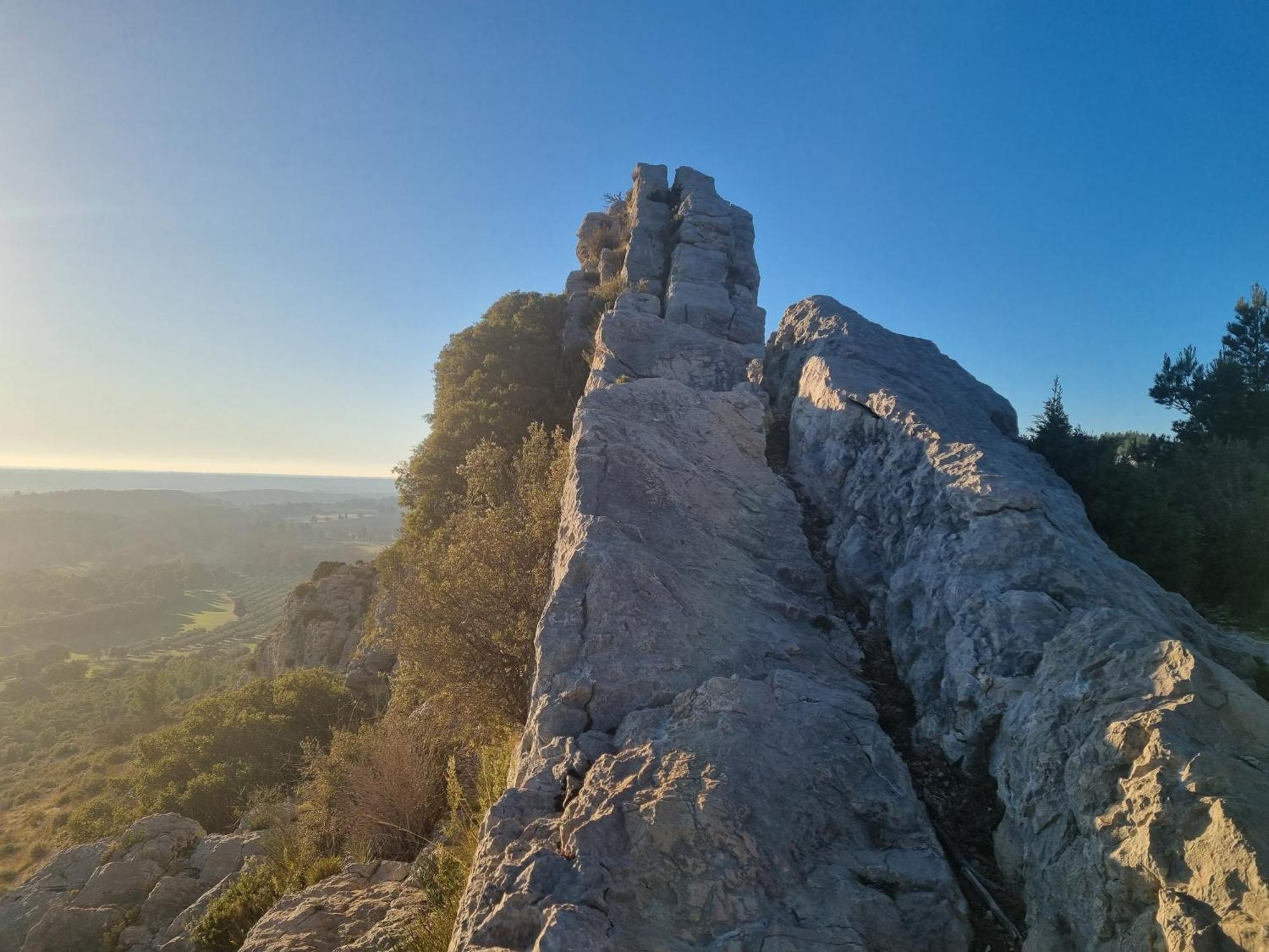 פרדו Les Garrigues De La Vallee Des Baux מראה חיצוני תמונה