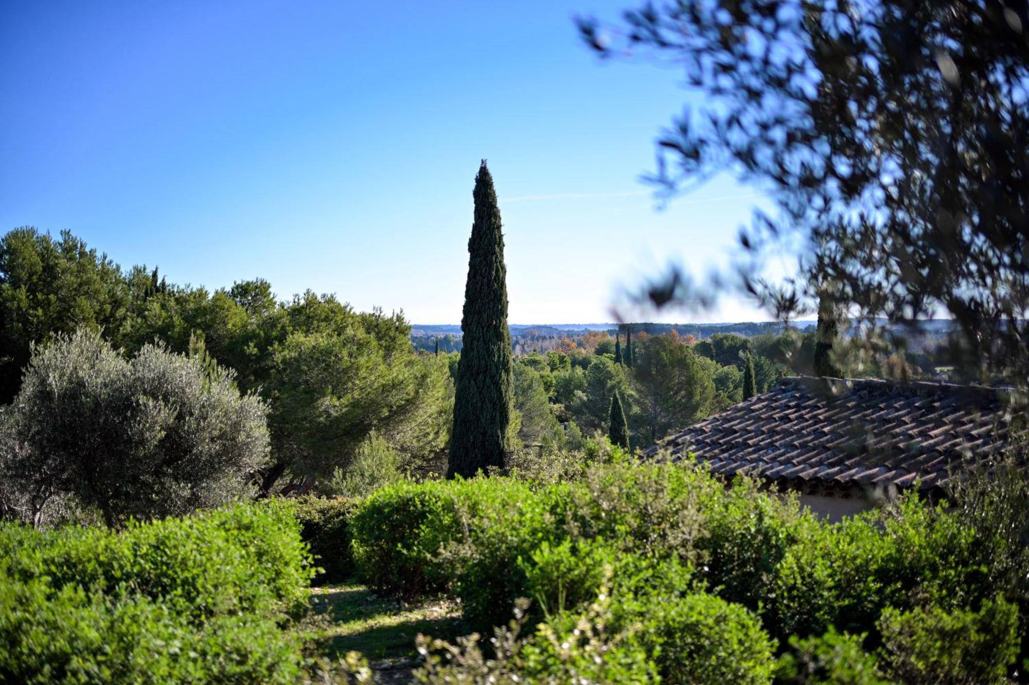 פרדו Les Garrigues De La Vallee Des Baux מראה חיצוני תמונה